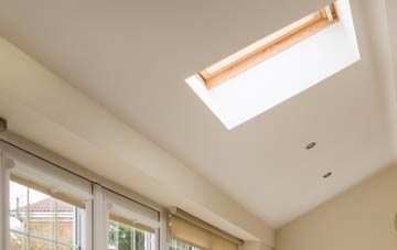 Redmoss conservatory roof insulation companies
